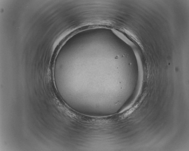 X0000069830928200605221203