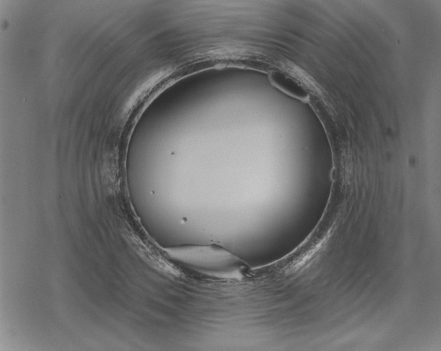 X0000069830930200605221203