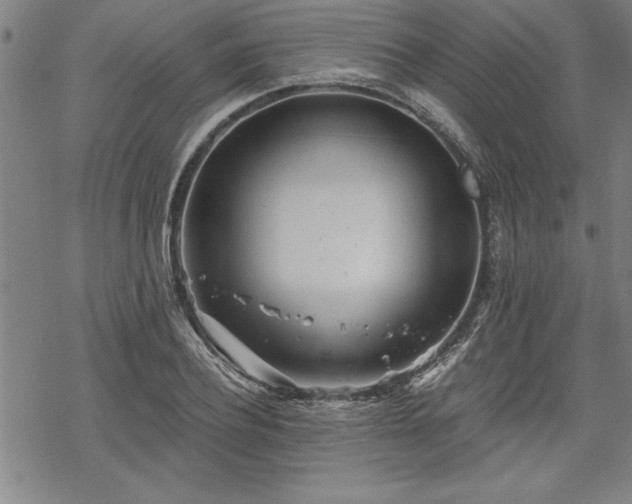 X0000069830932200605221203