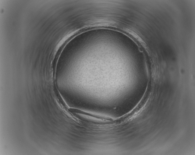 X0000069830933200605221203