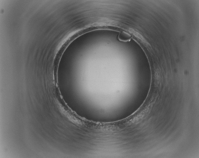 X0000069830934200605221203