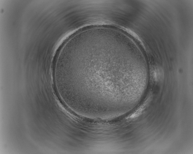 X0000069830935200605221203