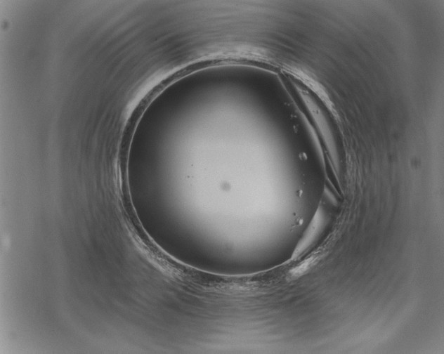 X0000069830936200605221203