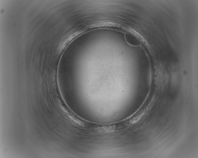 X0000069830937200605221203