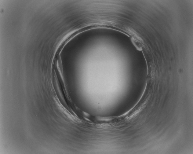 X0000069830940200605221203