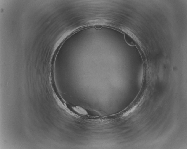 X0000069830941200605221203