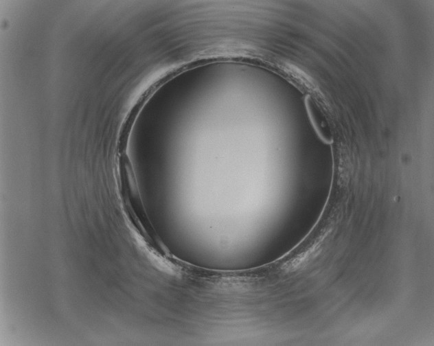 X0000069830942200605221203