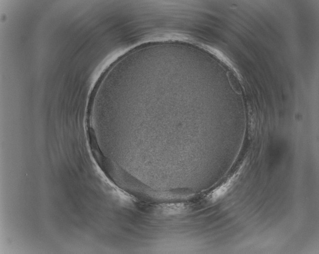 X0000069830943200605221203