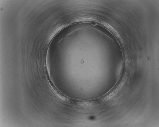 X0000069830945200605221203