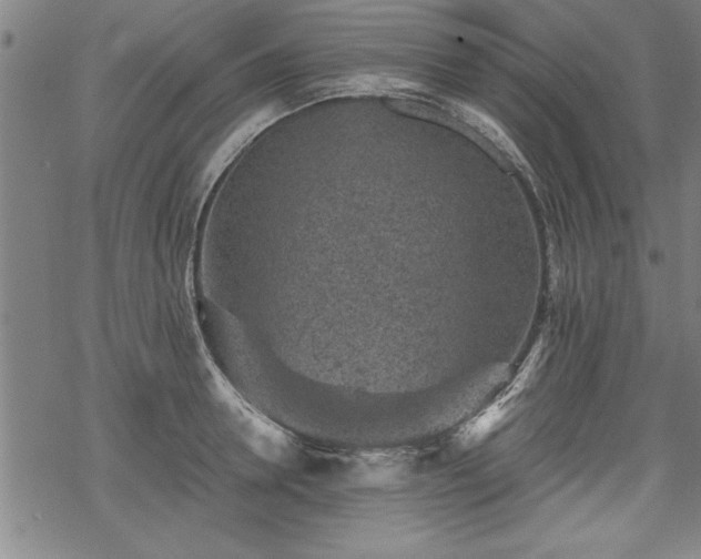 X0000069830946200605221203