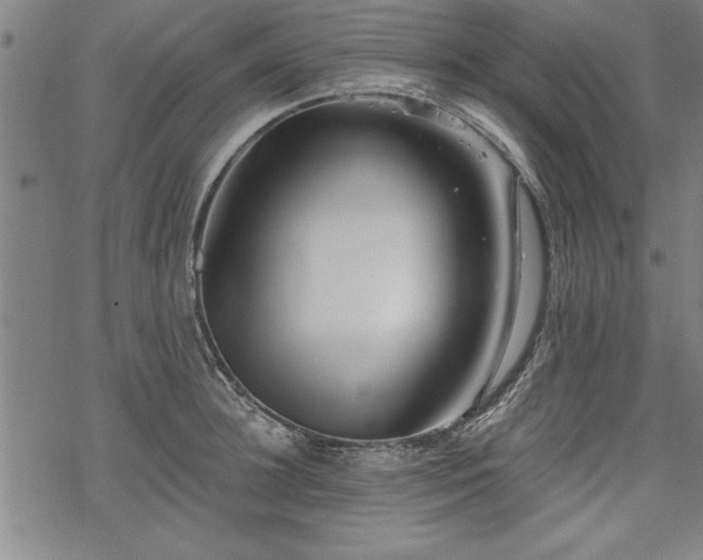 X0000069830948200605221203