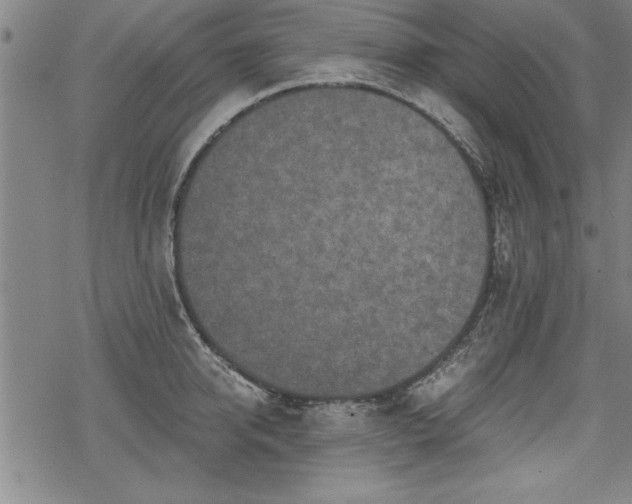 X0000069830950200605221203