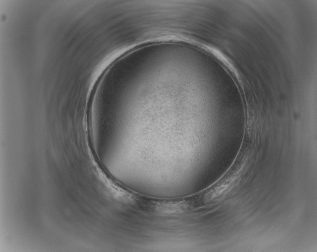 X0000069830951200605221203