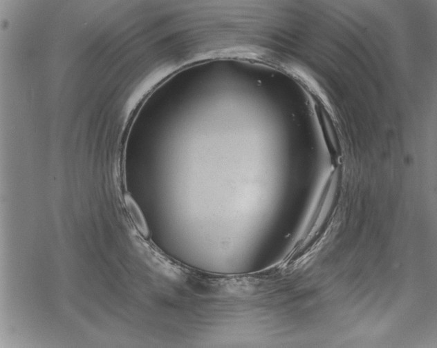 X0000069830952200605221203