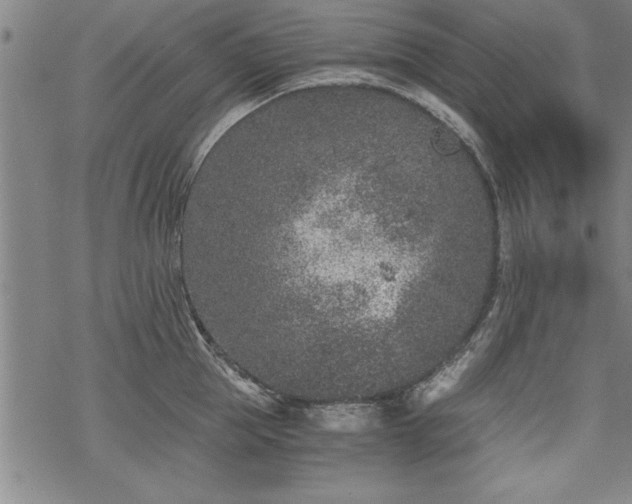 X0000069830953200605221203