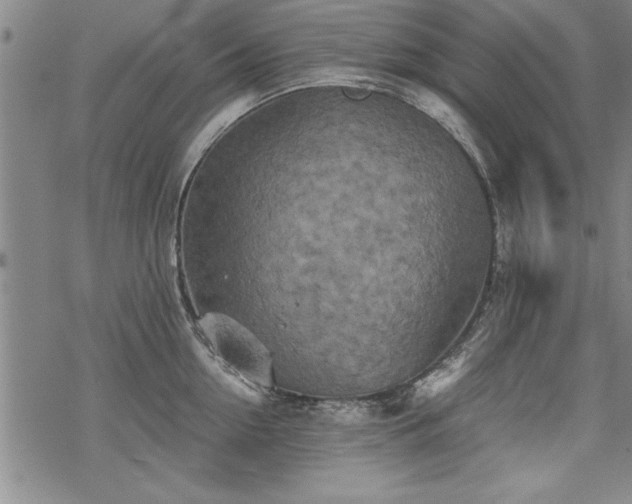 X0000069830954200605221203