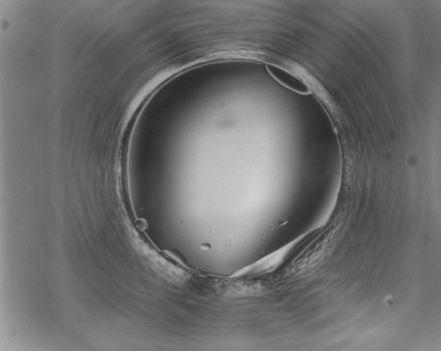 X0000069830955200605221203