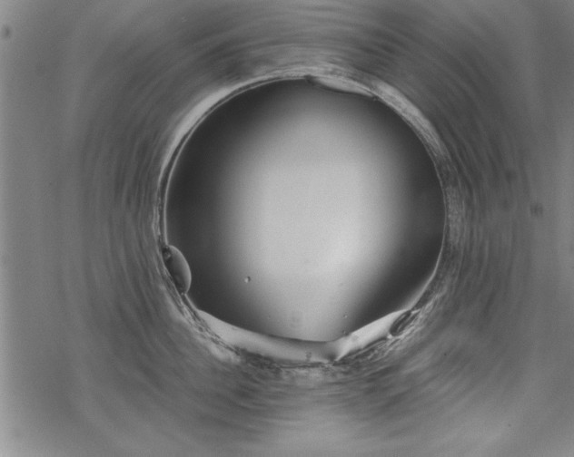 X0000069830956200605221203