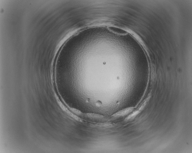 X0000069830957200605221203