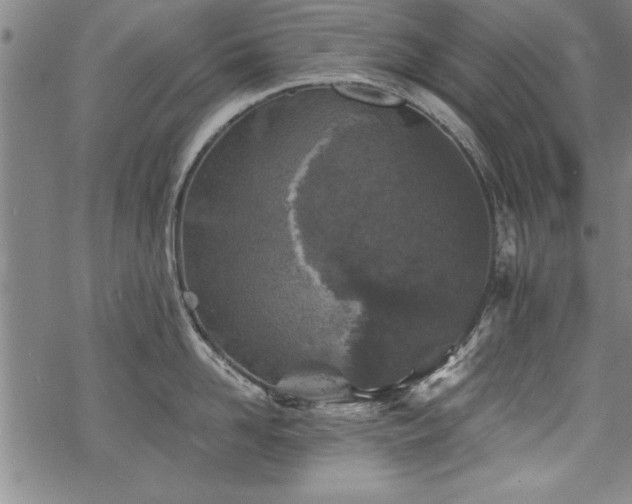 X0000069830958200605221204