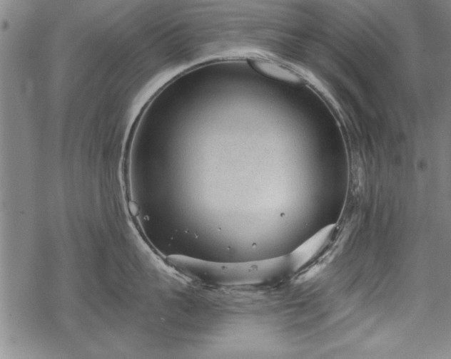 X0000069830959200605221204