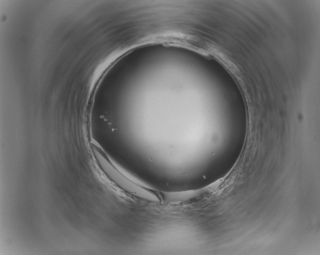 X0000069830960200605221204