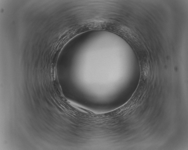 X0000069830964200605221203