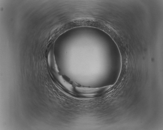 X0000069830965200605221203