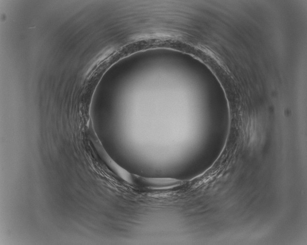 X0000069830967200605221203