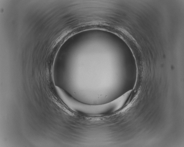 X0000069830969200605221203