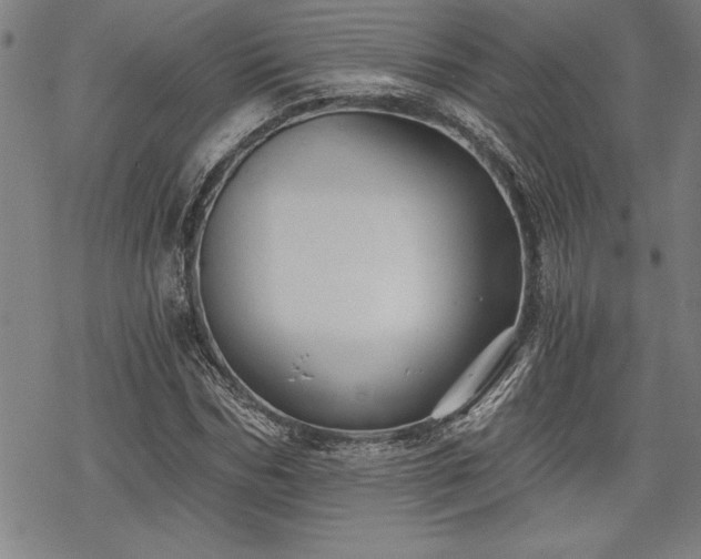 X0000069830970200605221203