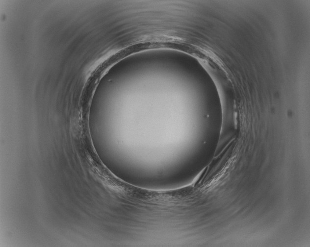 X0000069830971200605221203