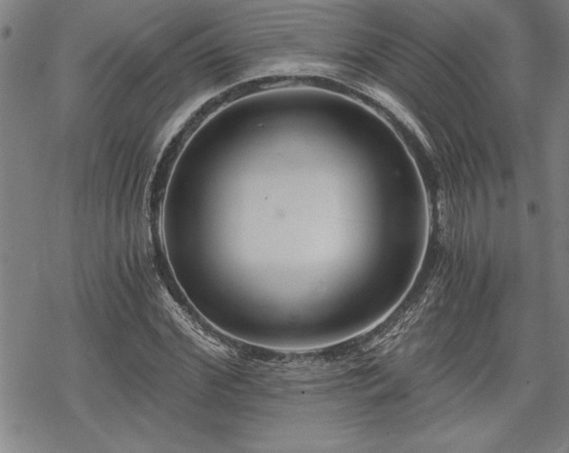 X0000069830972200605221203