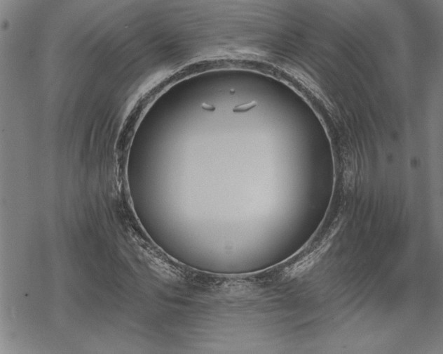 X0000069830974200605221203