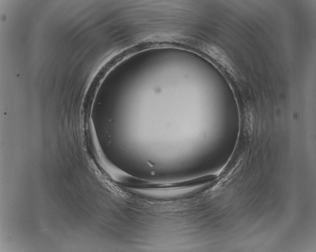 X0000069830976200605221203