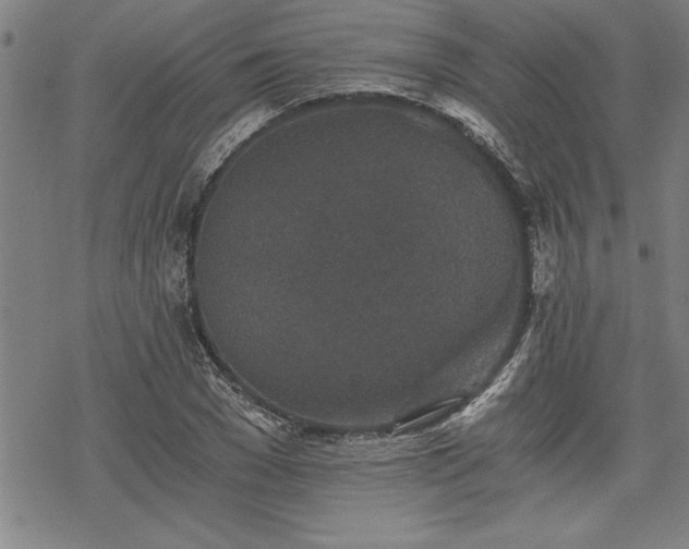 X0000069830977200605221203