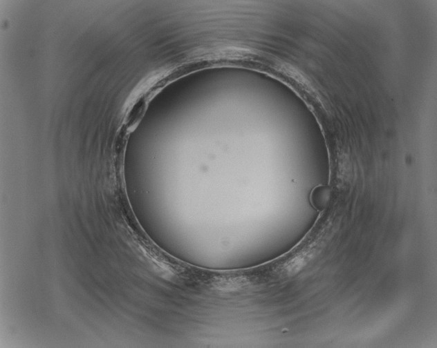 X0000069830978200605221202