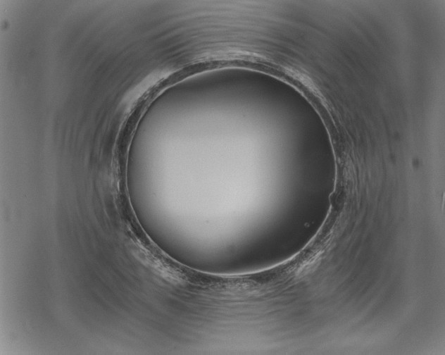 X0000069830979200605221202