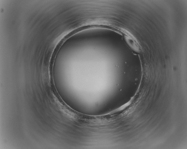 X0000069830980200605221202