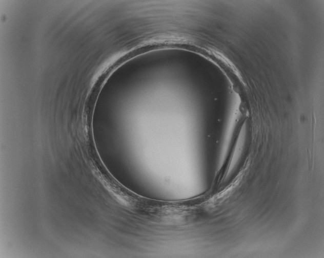 X0000069830981200605221202