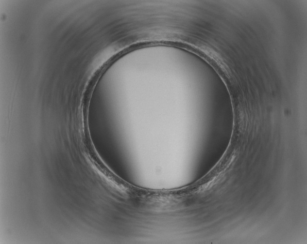 X0000069830982200605221202