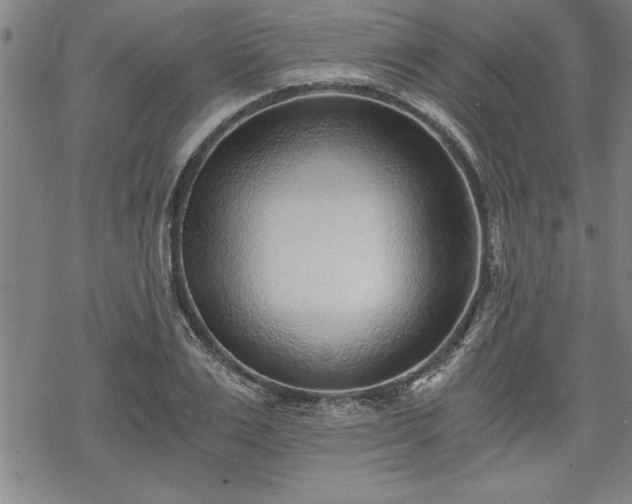 X0000069830983200605221202