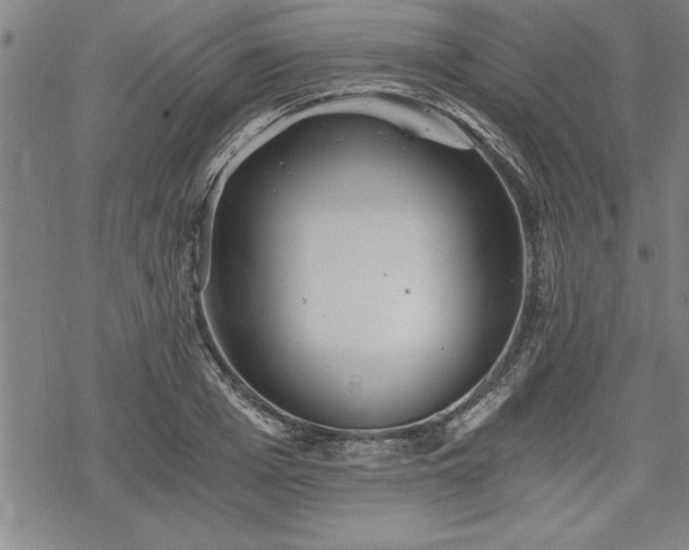 X0000069830985200605221202