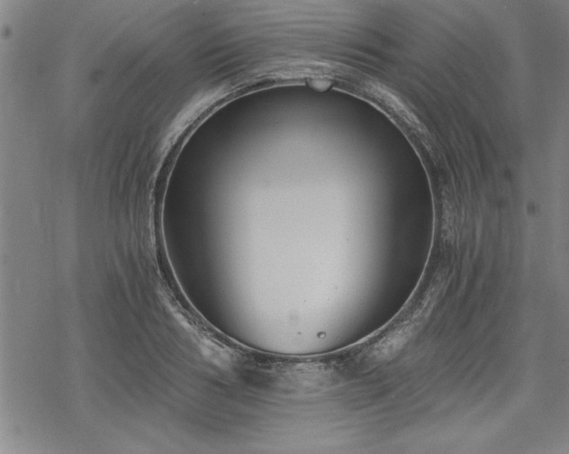 X0000069830986200605221202