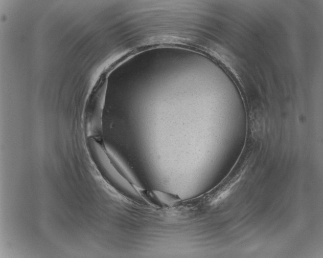 X0000069830987200605221202