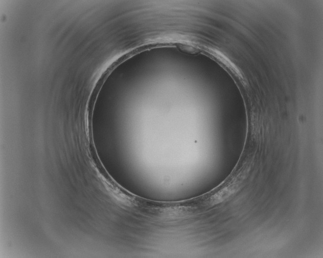 X0000069830988200605221202