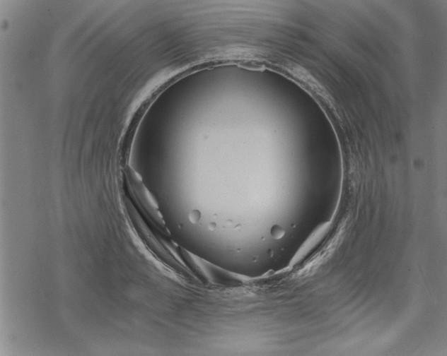 X0000069830989200605221202