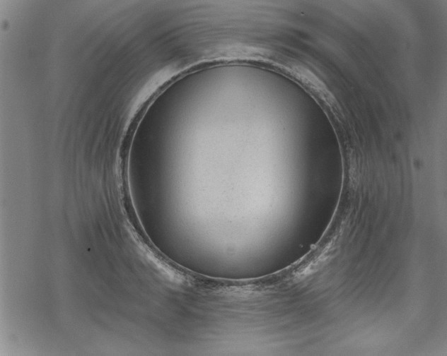 X0000069830990200605221202