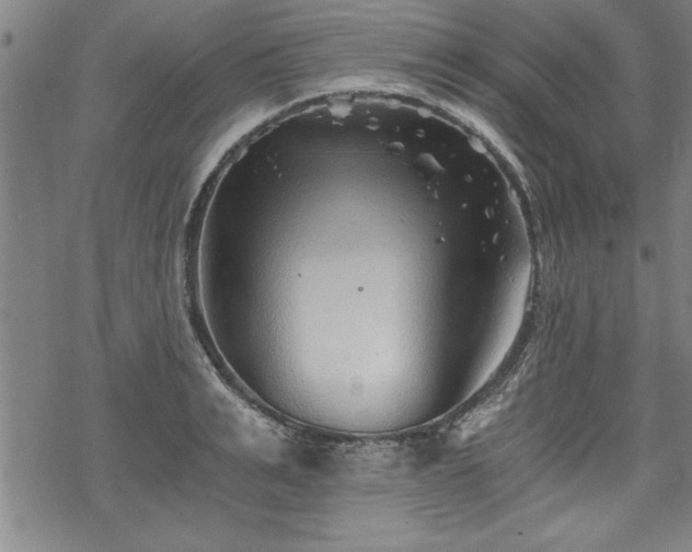 X0000069830991200605221202