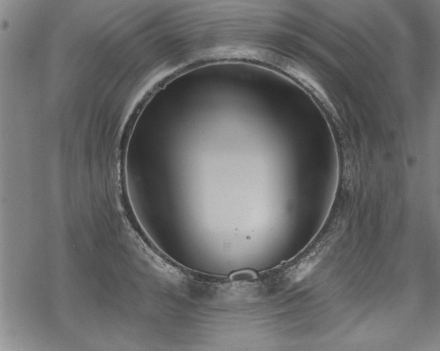 X0000069830992200605221202